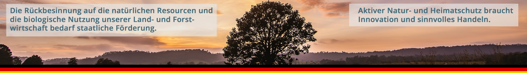 Banner Natur 2021.neu